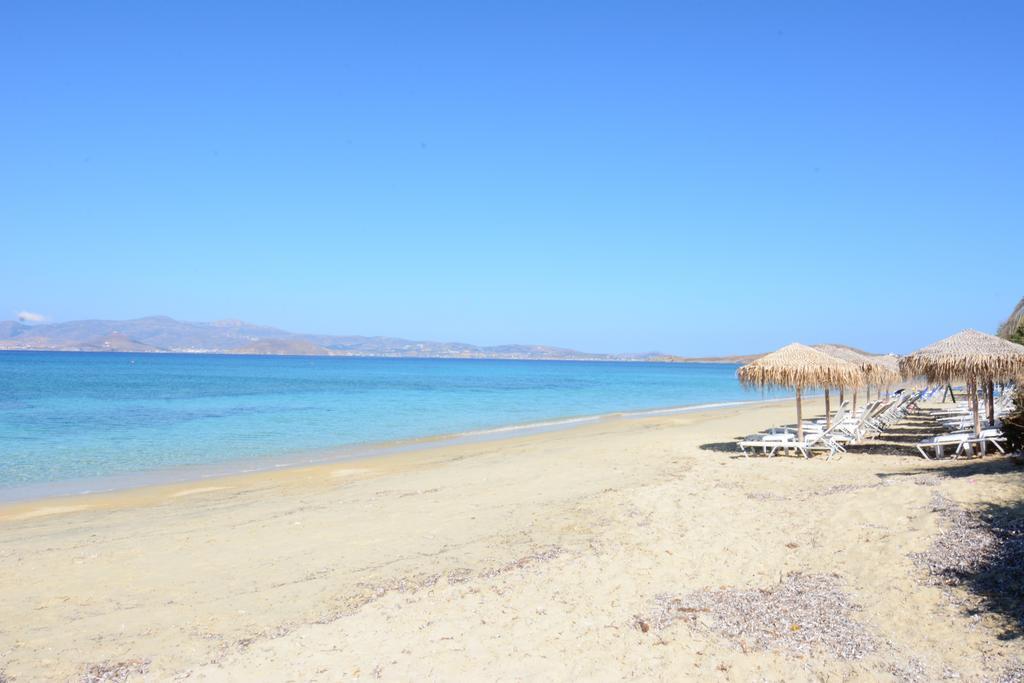 Appartement Naxian Breeze à Agia Anna  Extérieur photo