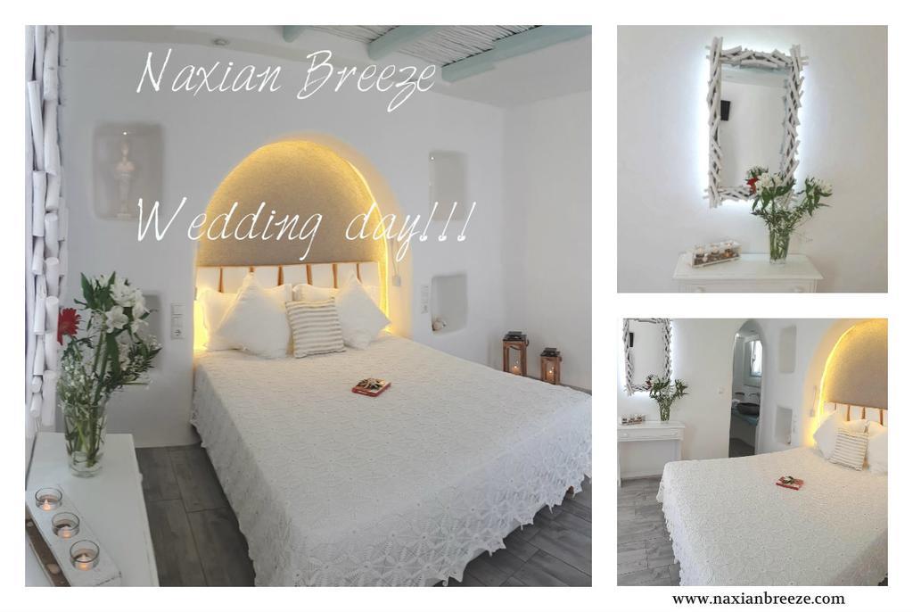 Appartement Naxian Breeze à Agia Anna  Extérieur photo