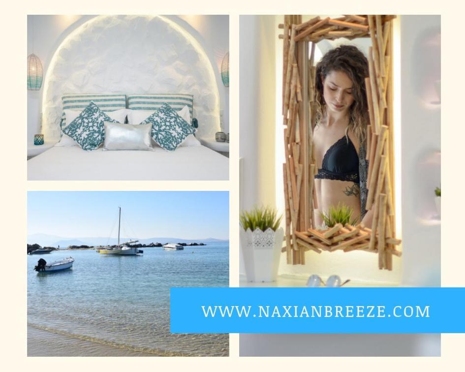 Appartement Naxian Breeze à Agia Anna  Extérieur photo